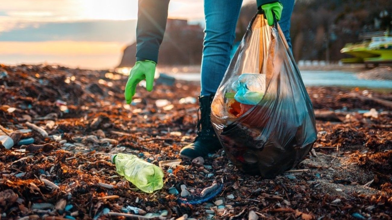 49b566ae50cb6ab0ca4106bf54518c4f