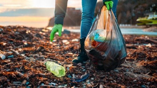 49b566ae50cb6ab0ca4106bf54518c4f