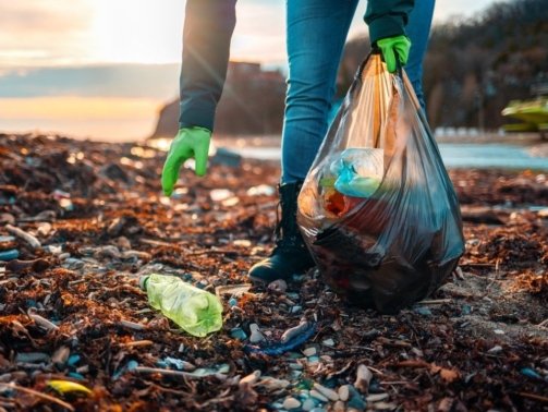 49b566ae50cb6ab0ca4106bf54518c4f